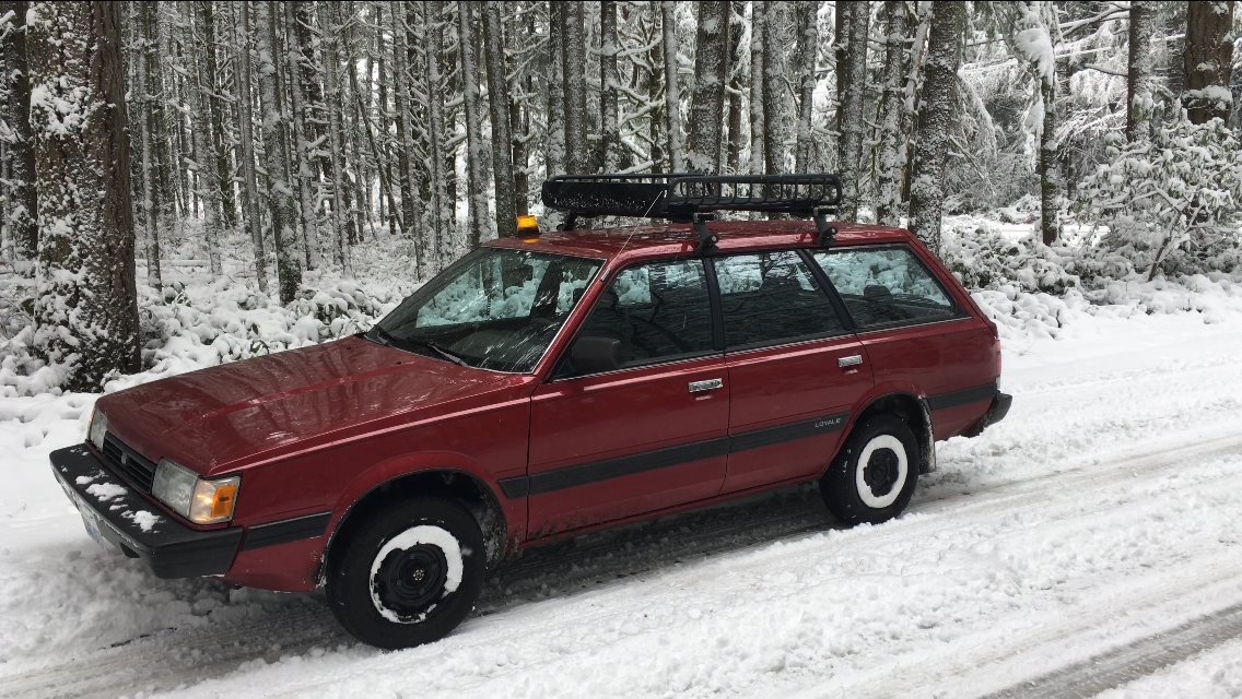 Featured Plant Image