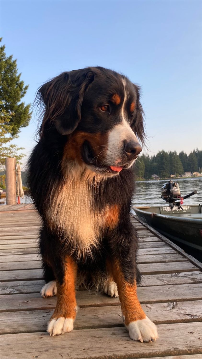 Featured Plant Image