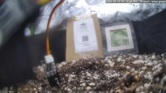 Featured Plant Image