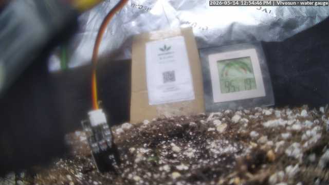 Plant Image