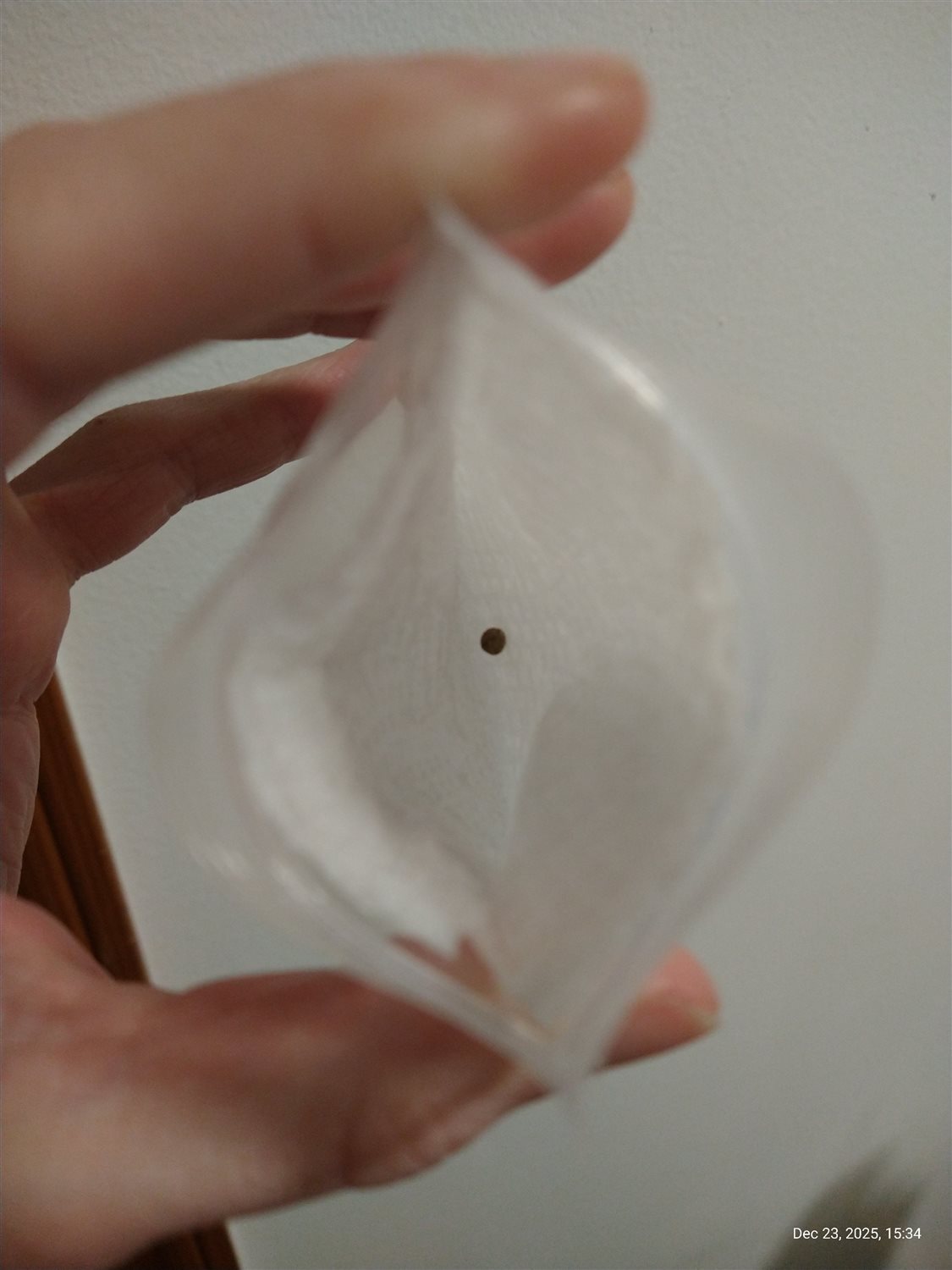 Featured Plant Image