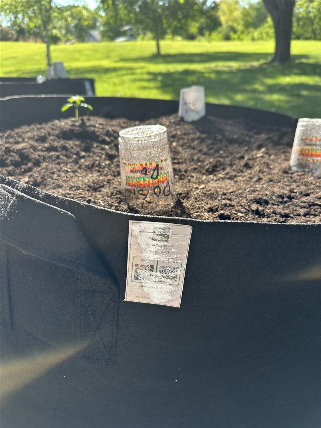 Featured Plant Image