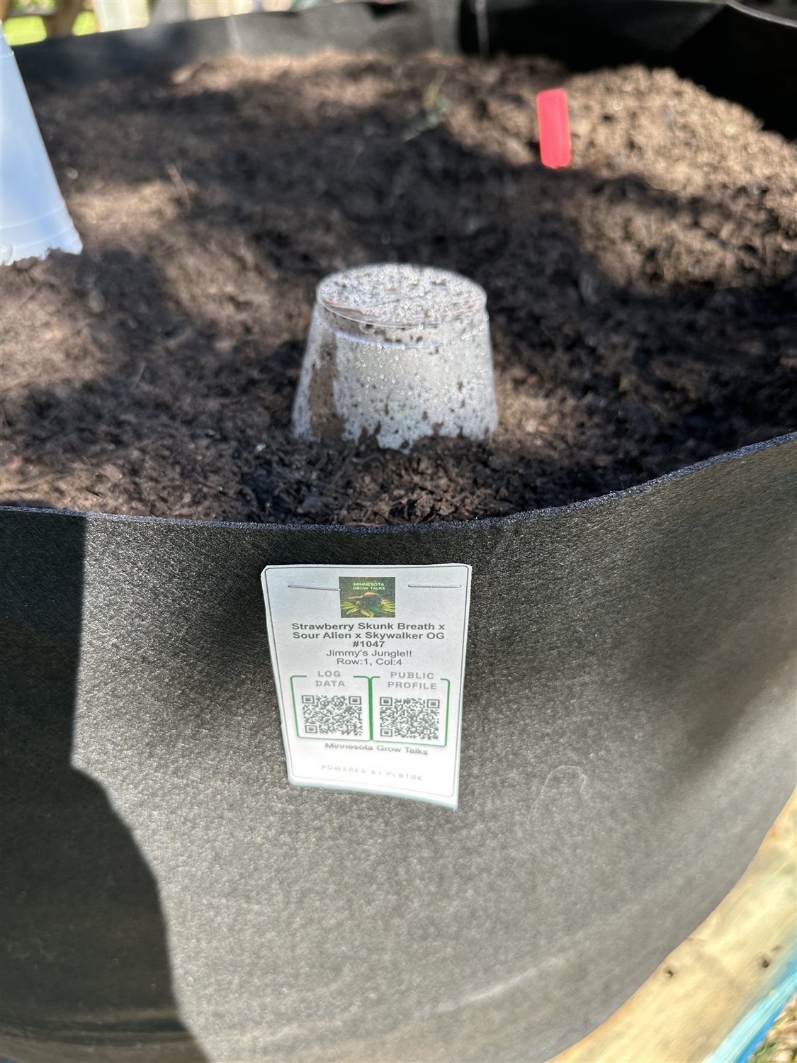 Featured Plant Image