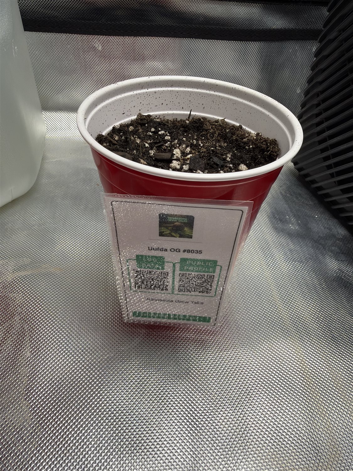 Featured Plant Image