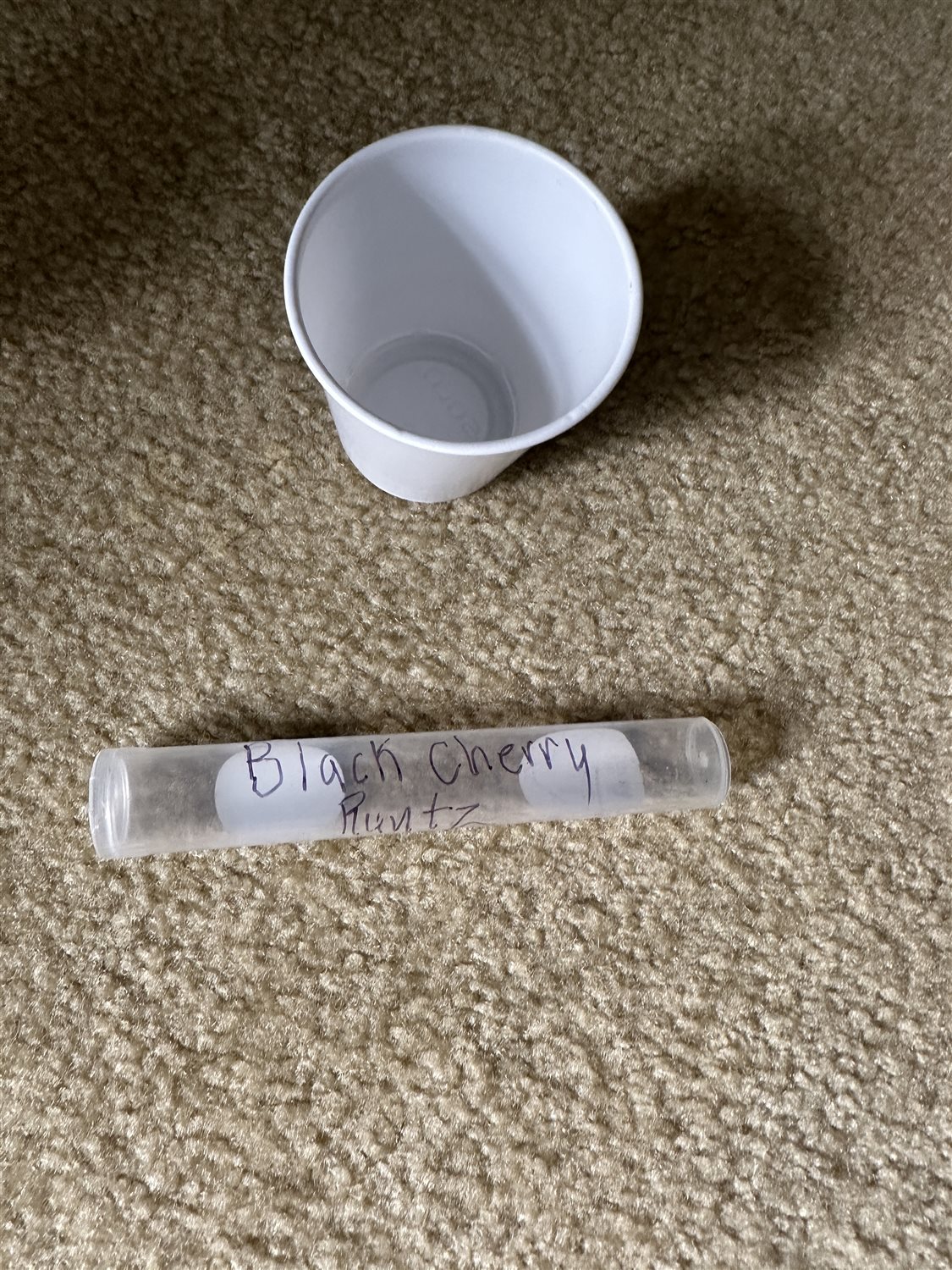 Featured Plant Image