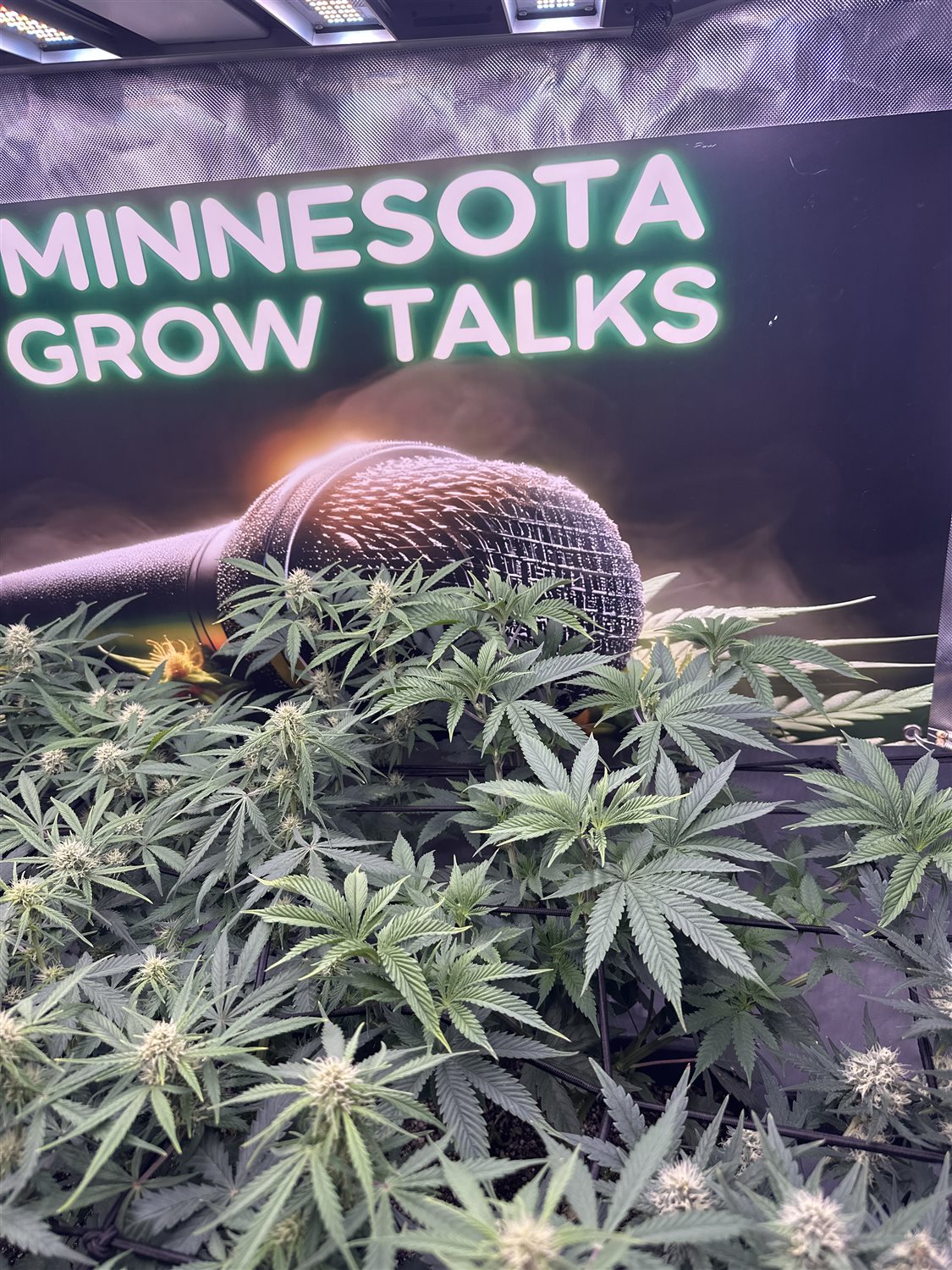 Featured Plant Image