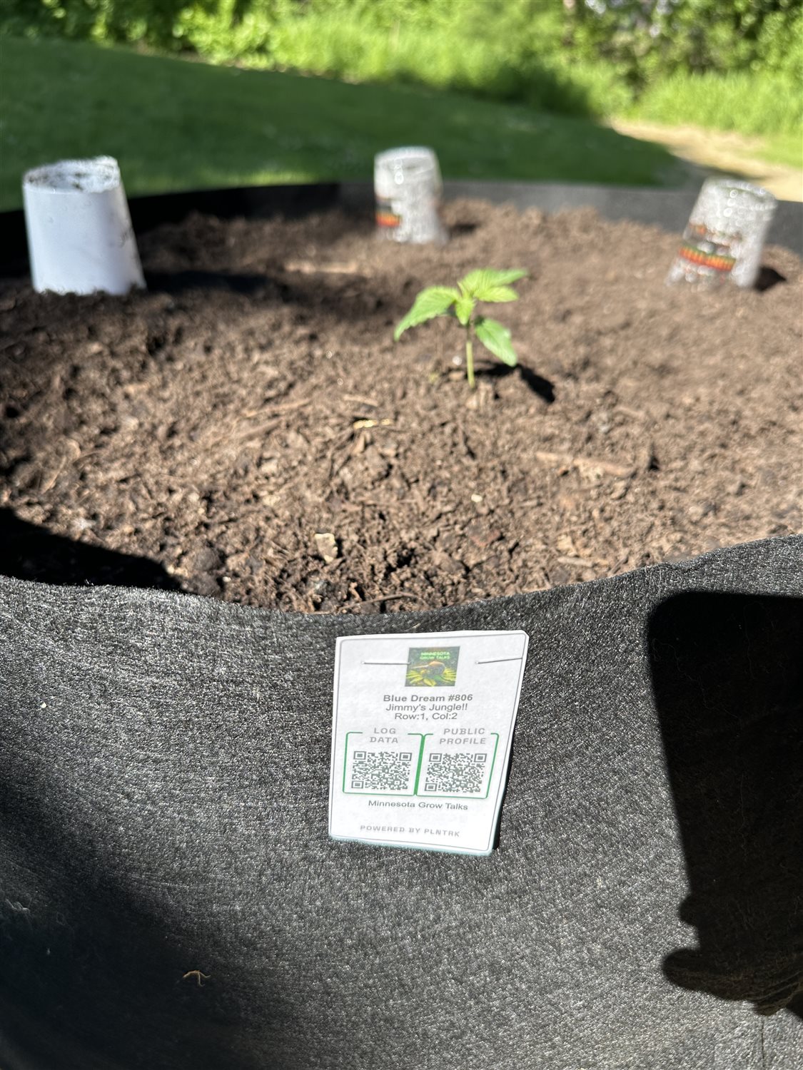 Featured Plant Image