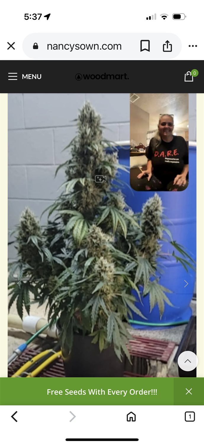 Featured Plant Image