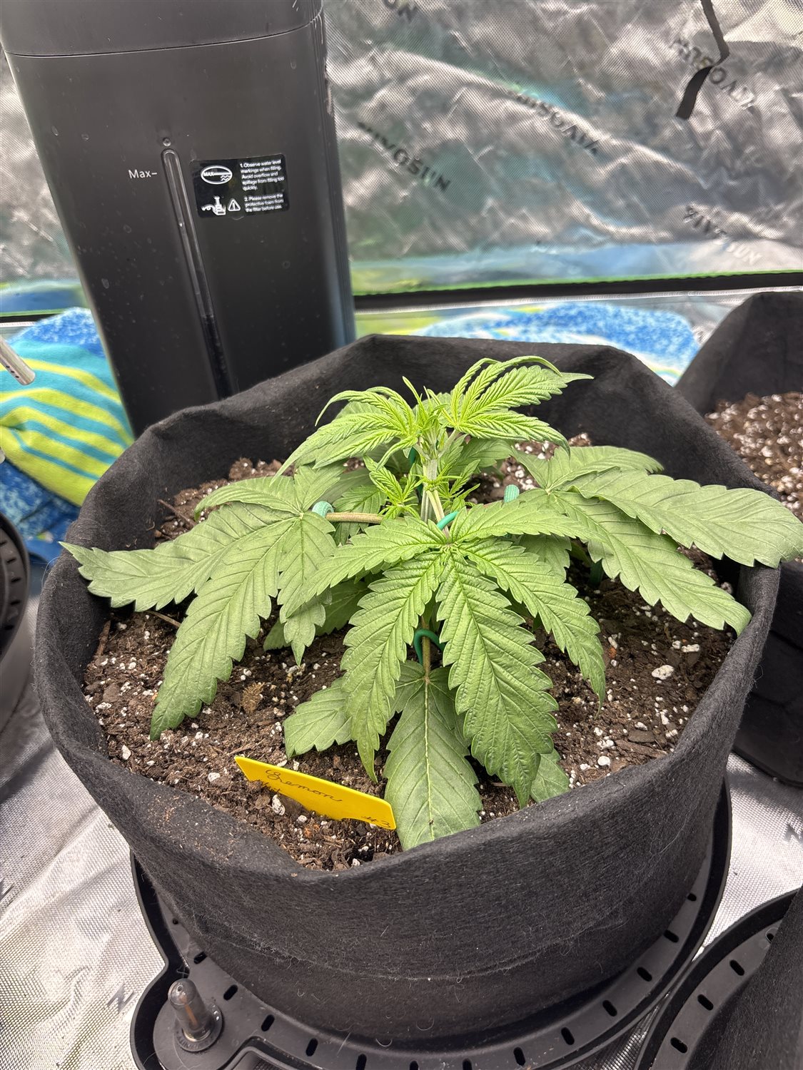 Featured Plant Image