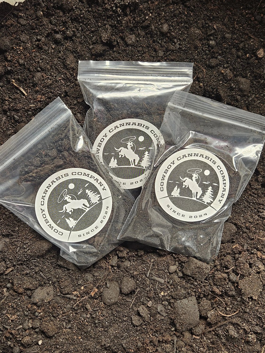 Featured Plant Image