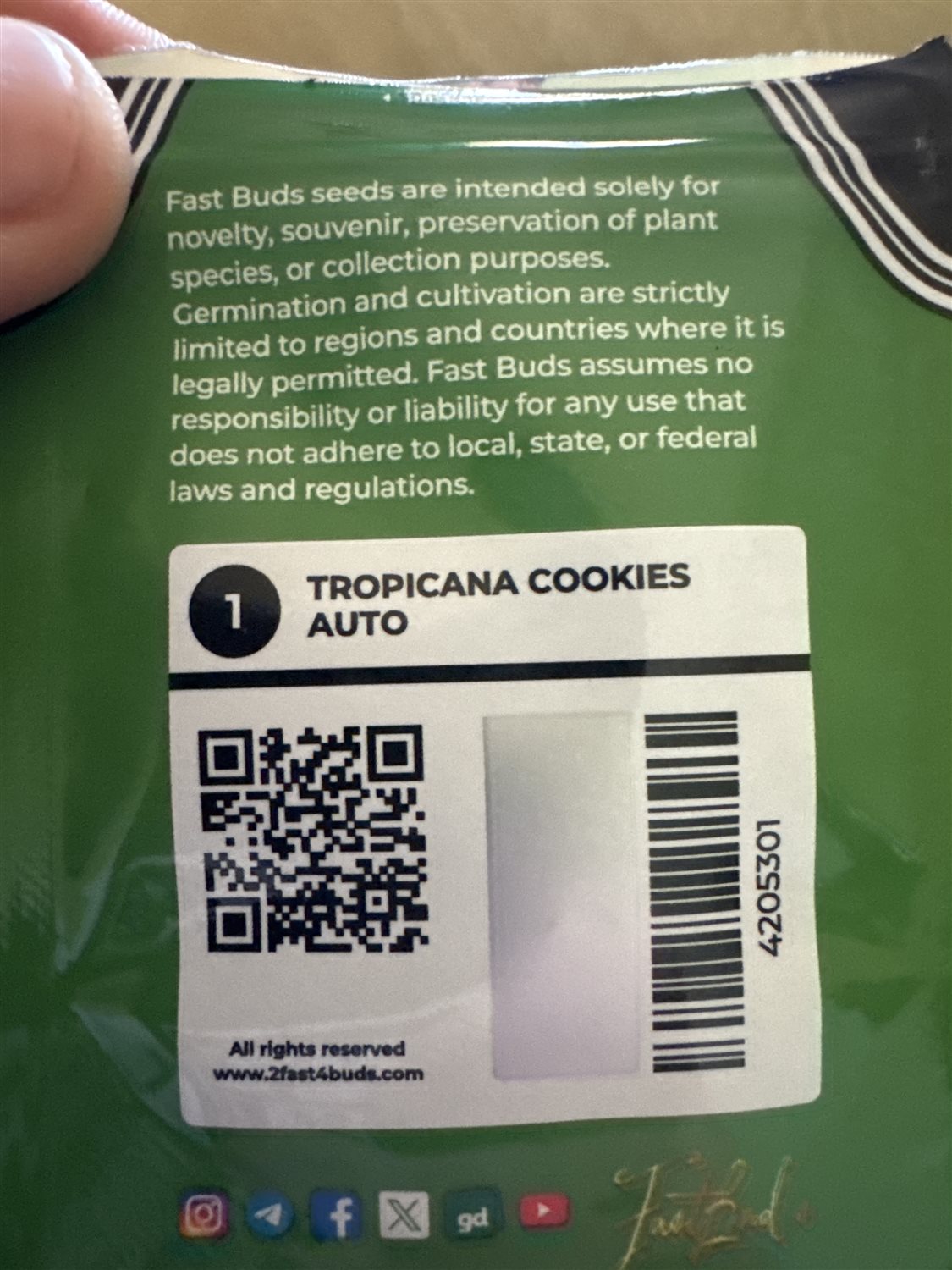 Featured Plant Image