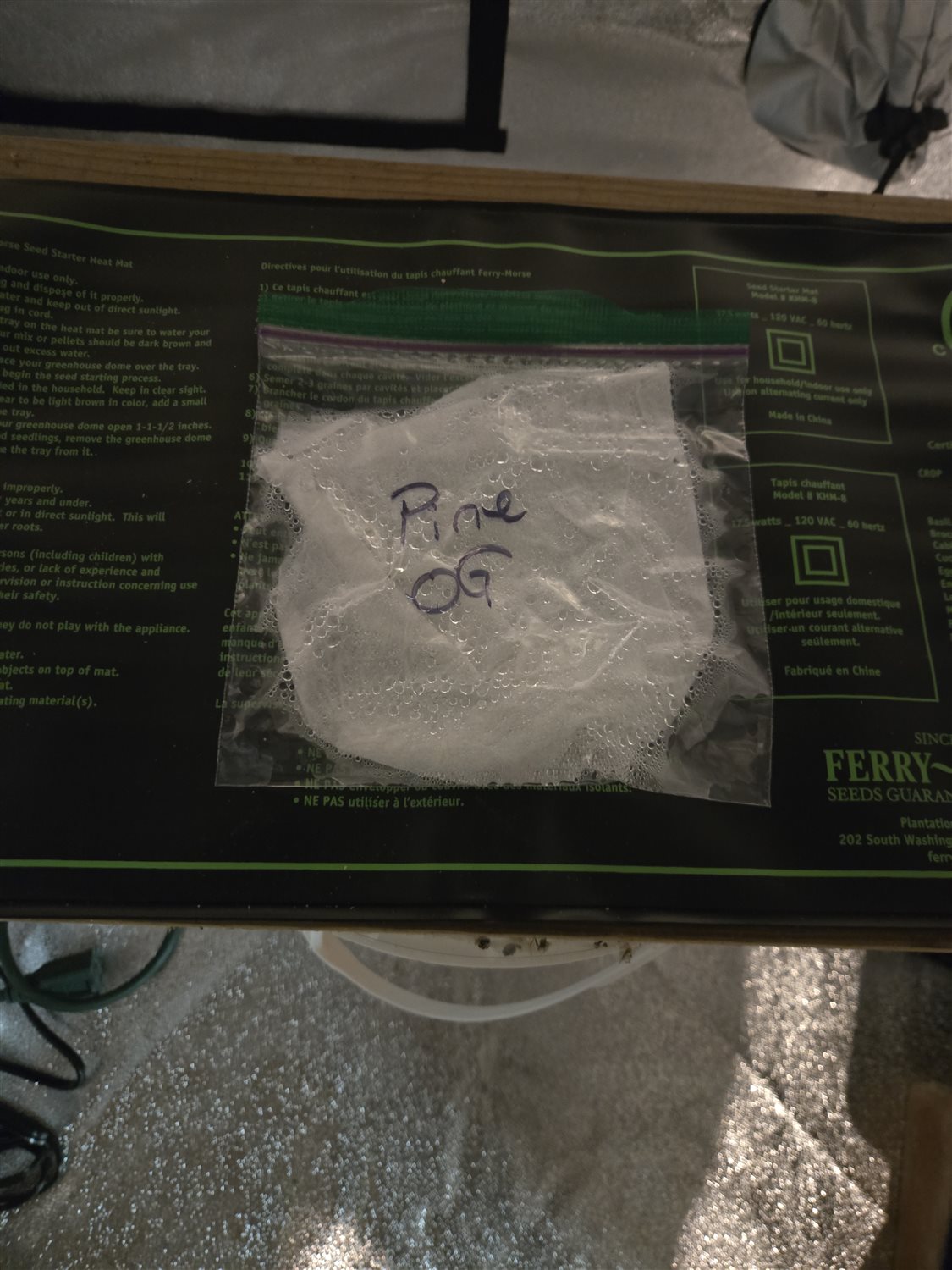 Featured Plant Image