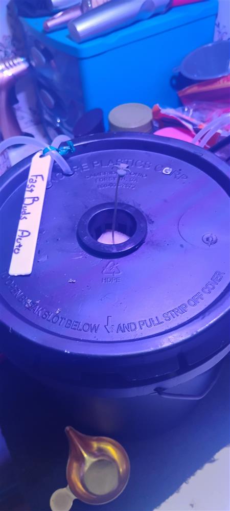 Featured Plant Image