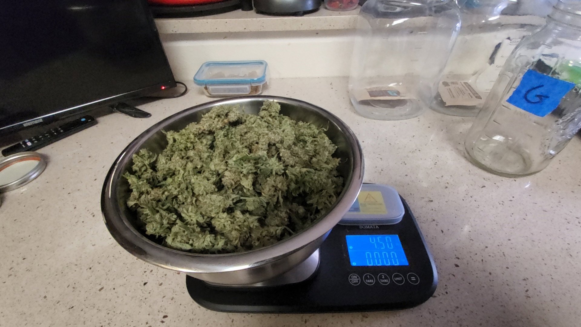 Blue Dream (BD) plant image