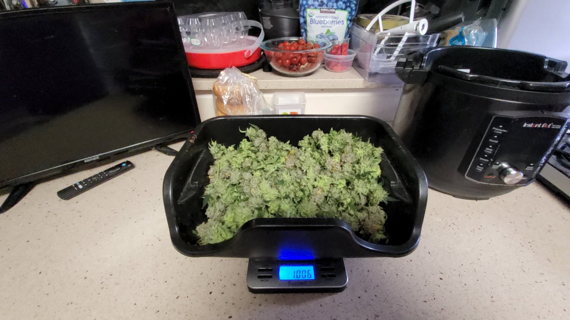 Blue Dream (BD) plant image