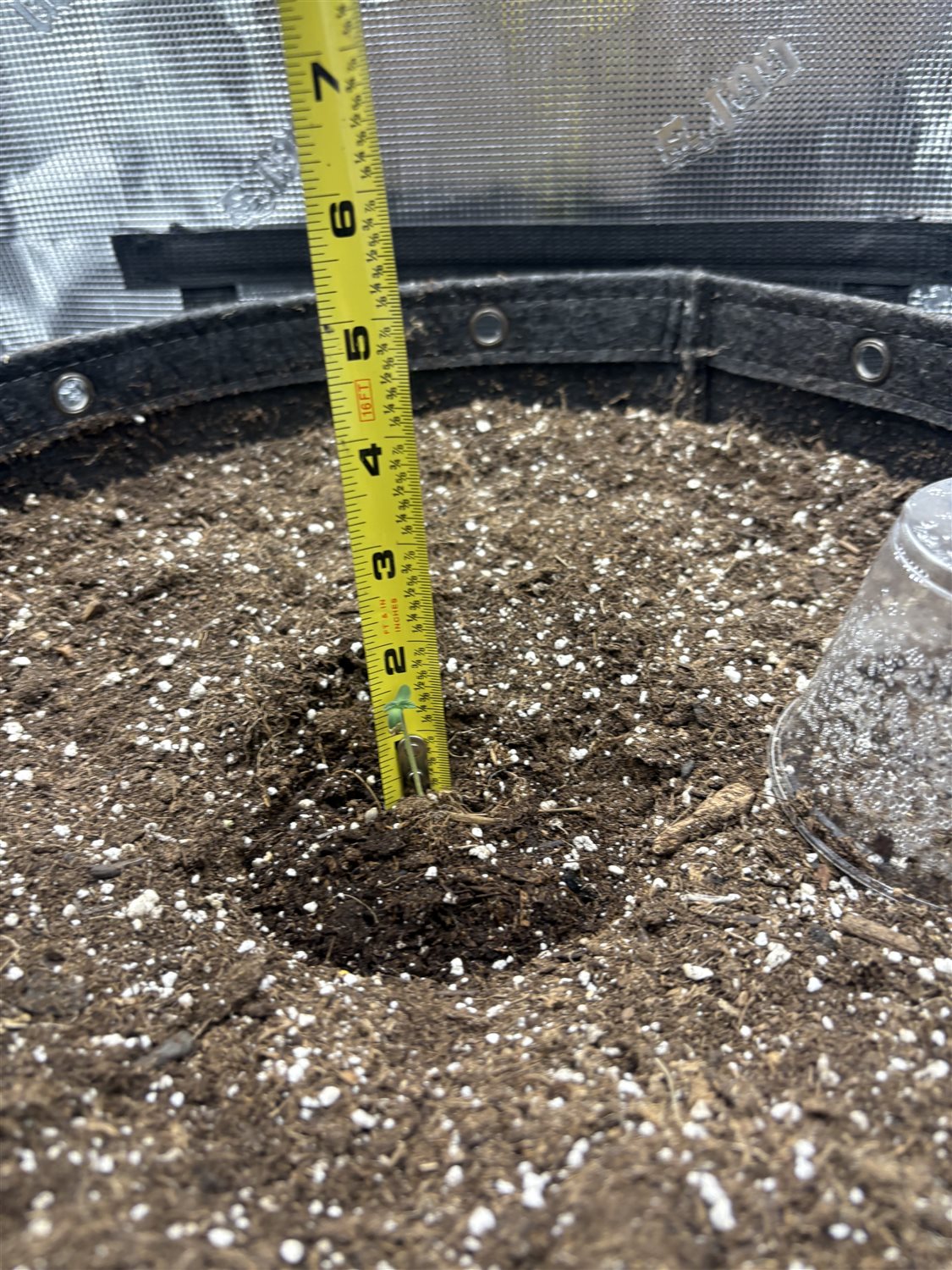 Featured Plant Image