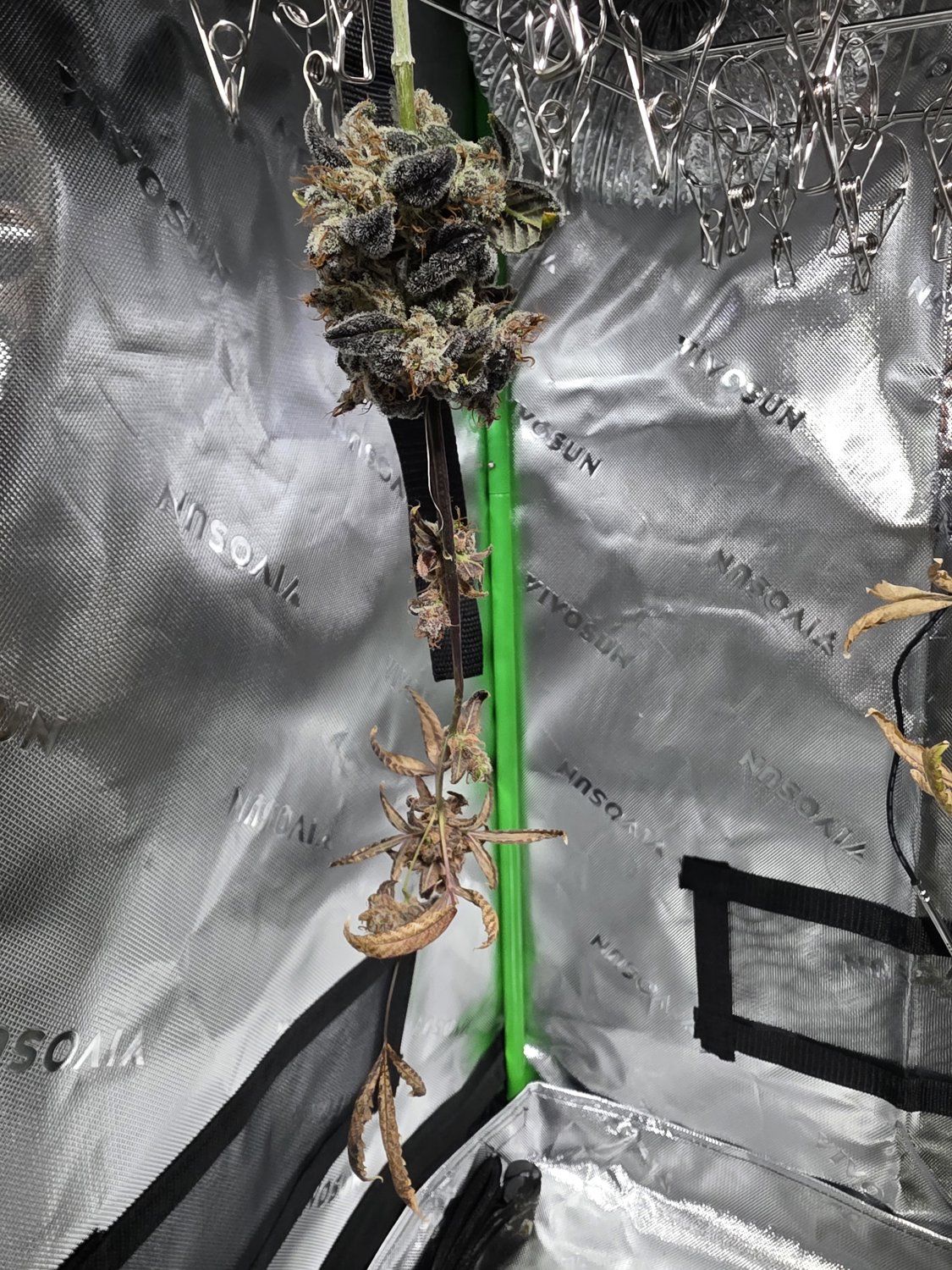 Chernobyl plant image