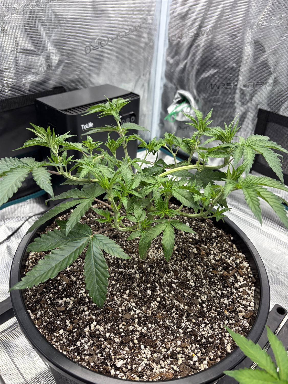 First batch plant photo