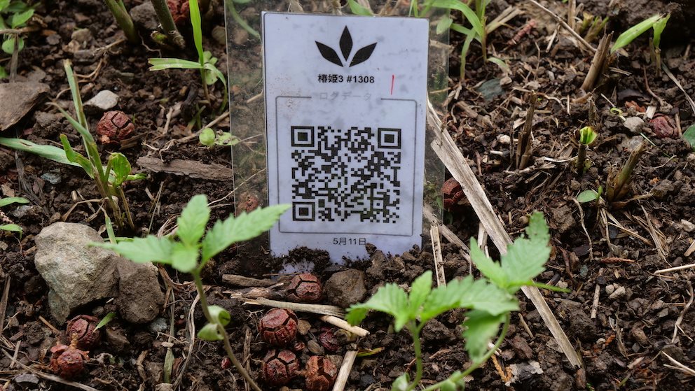 Featured Plant Image