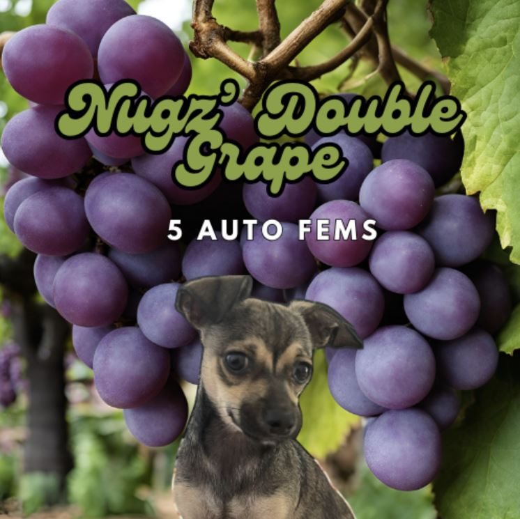 Featured Plant Image