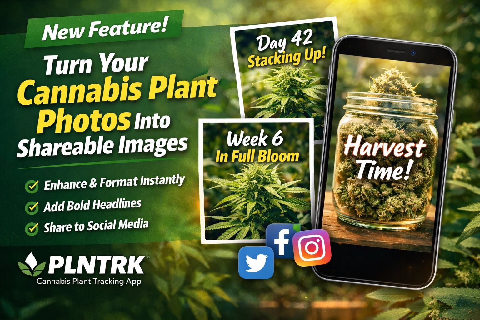 PLNTRK: Featured image for "New Feature: Turn Your Cannabis Plant Photos Into Shareable Social Media Images" – plant tracking screenshot