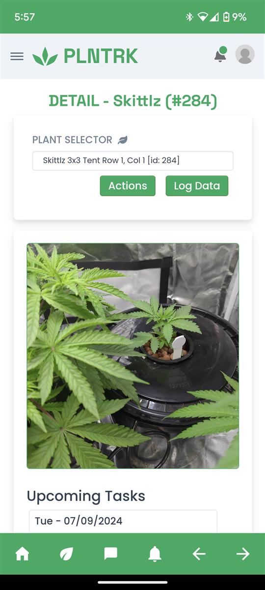 Discover the Ultimate Cannabis Growing Journal App - 54