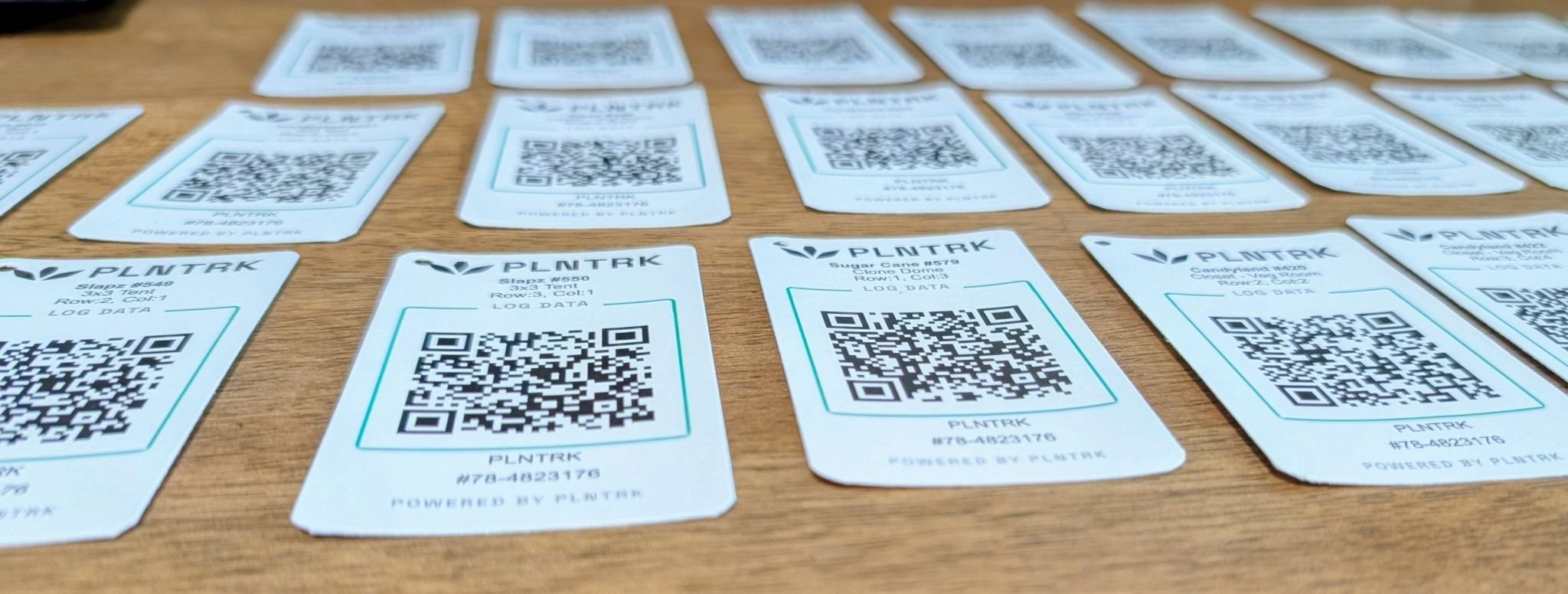 New Tools for Growers: PLnTrk Adds POS System and Visual Website Builder cover image