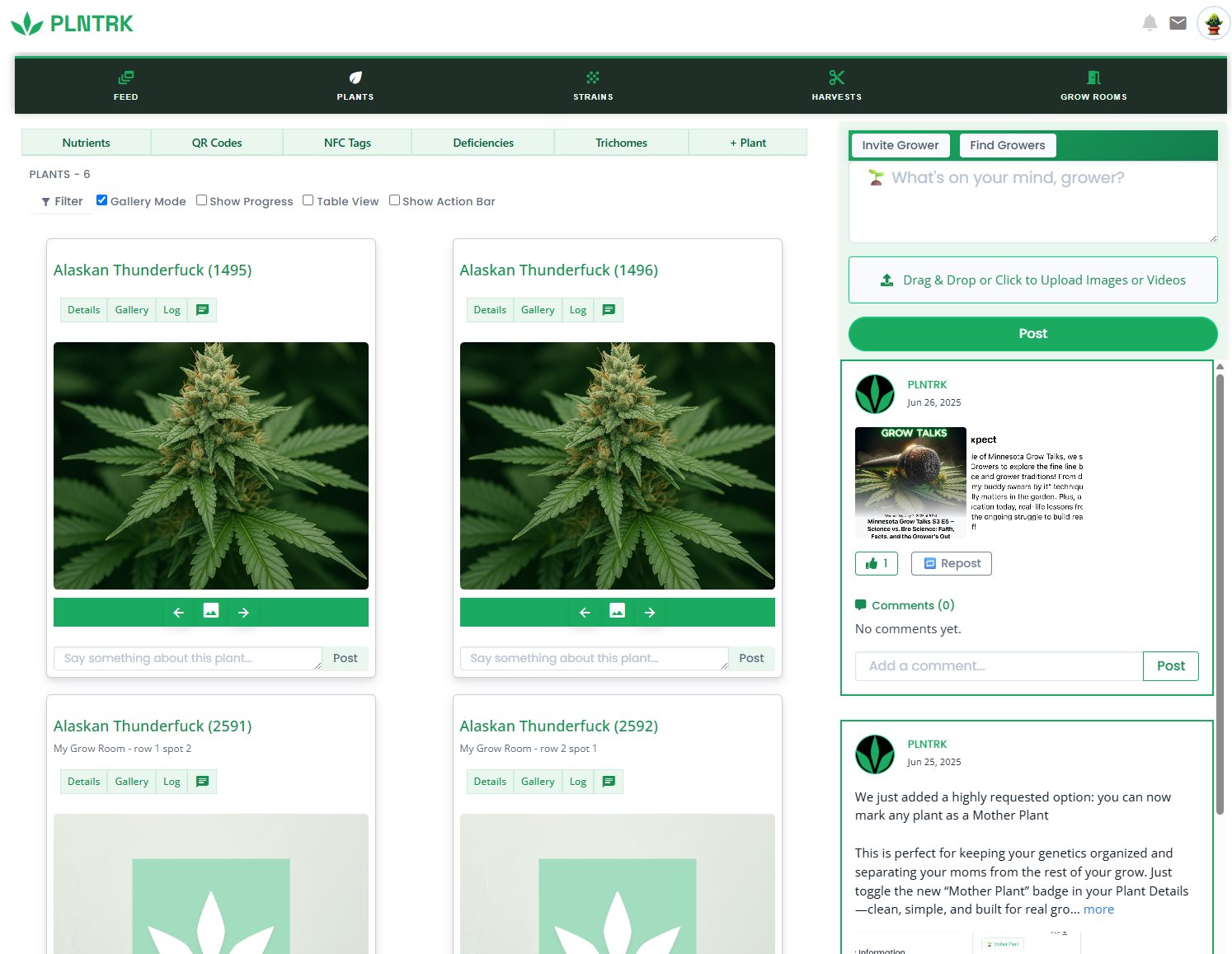 PLnTrk: Gallery image 2 for "Update: Your PLNTRK Social Feed Now on the Homepage!" – cannabis tracking