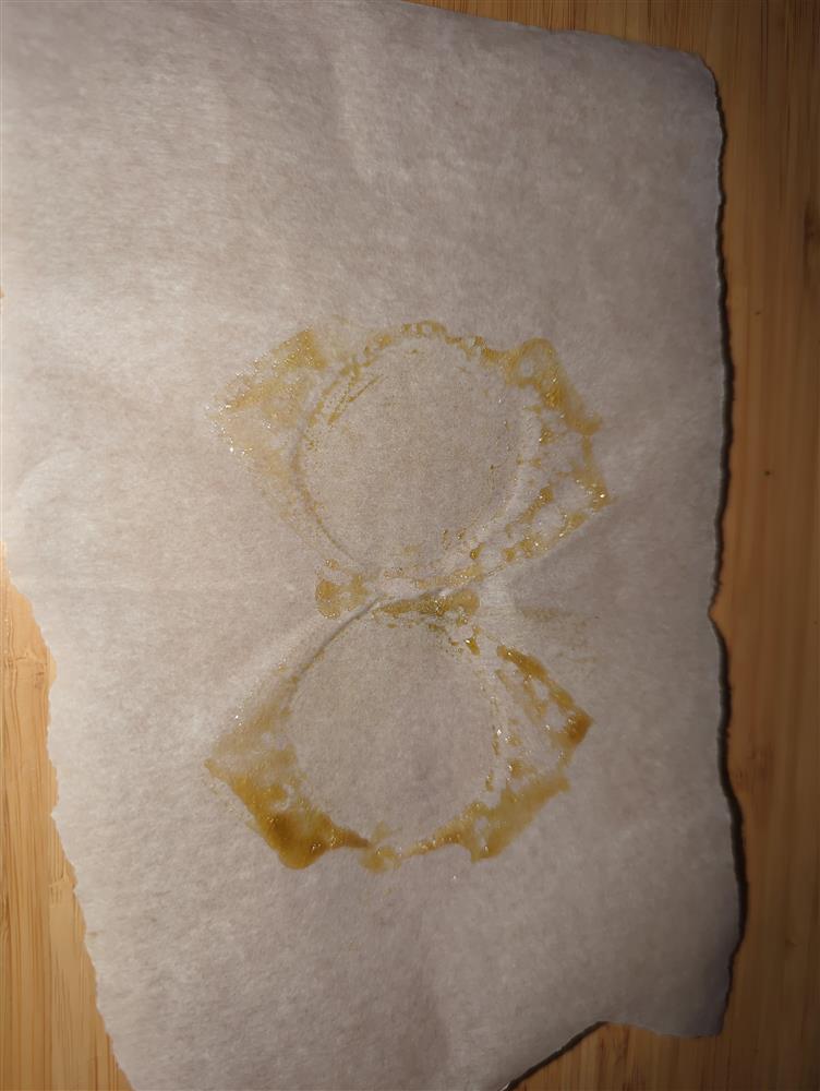 Featured Plant Image