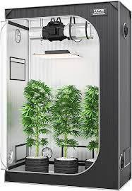 Featured Plant Image