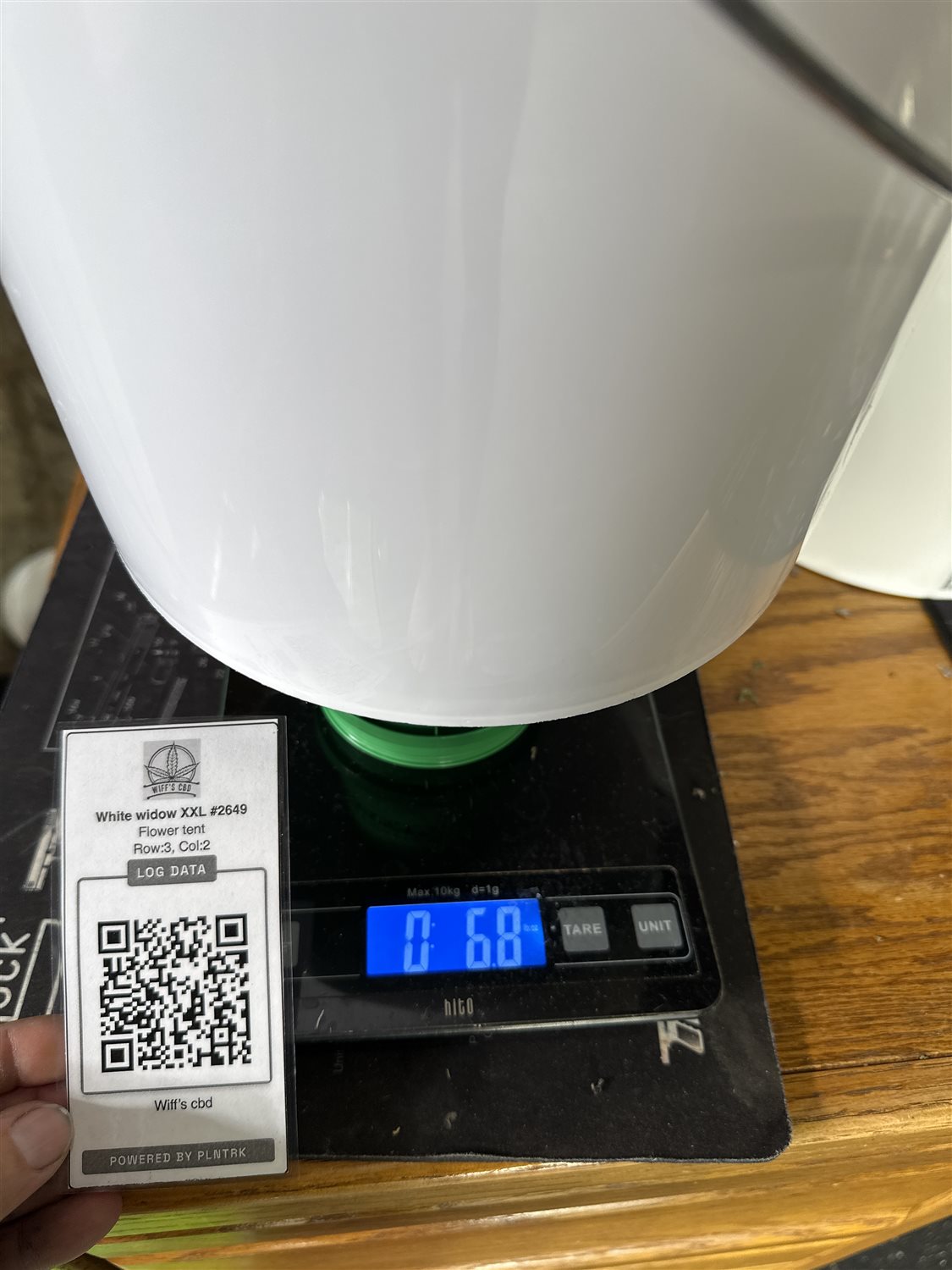 Featured Plant Image