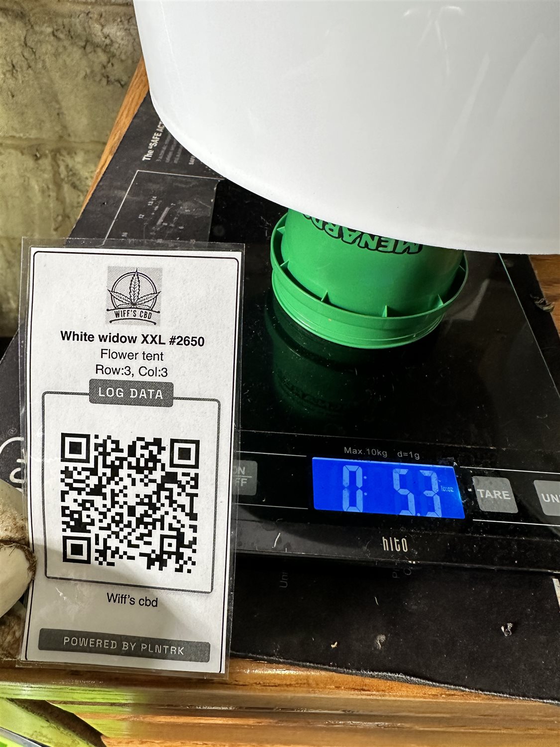 Featured Plant Image