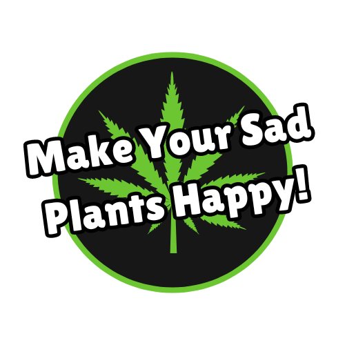 Growing Stronger in 2025 🌱 cover image