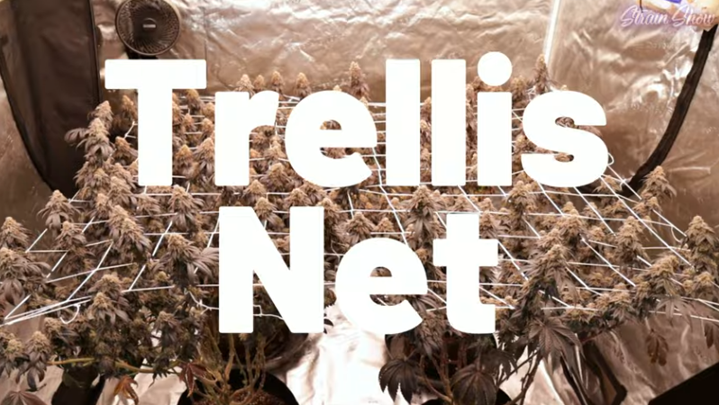 Watch Trellis Netting Tutorial on YouTube