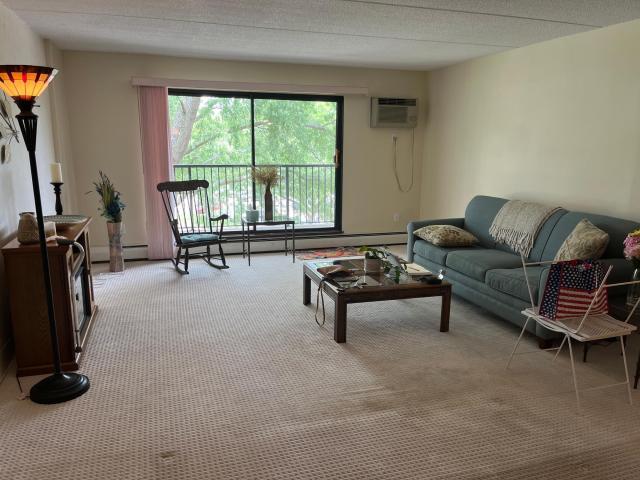 10501 Cedar Lake Road Unit 409 Hopkins MN 55305