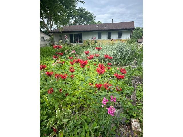 3313 Zane Avenue N Minneapolis MN 55422 - MLS# 6757233