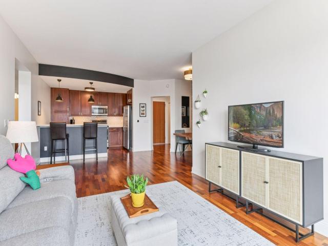 100 3rd Avenue S Unit 1101 Minneapolis MN 55401 - MLS# 6765210