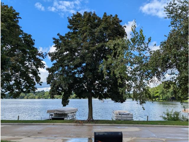 617 Grace Street Albert Lea MN 56007 - MLS# 6774325