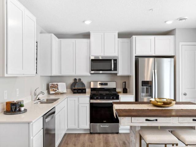 13659 Kaylemore Trail Rosemount MN 55068 - MLS# 6777977