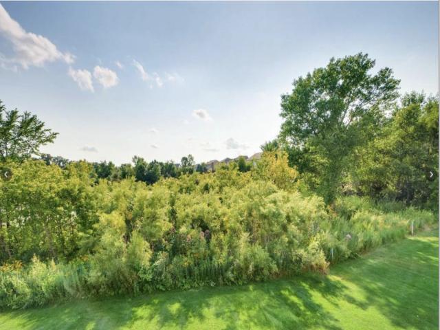6647 Peony Lane N Maple Grove MN 55311 - MLS# 6785598