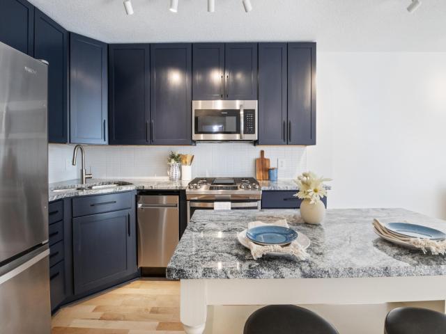 2530 1st Avenue S Unit N207 Minneapolis MN 55404 - MLS# 6788259