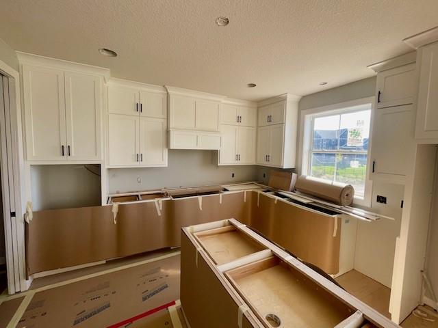 5529 Vista Trail Chaska MN 55386 - MLS# 6795723