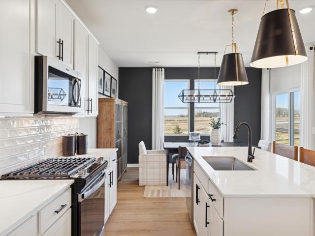 15026 Askeaton Place Rosemount MN 55068 - MLS# 7030106