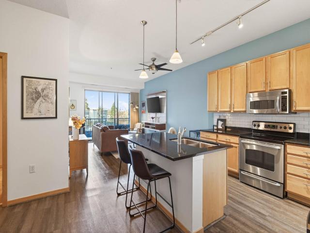 4525 Park Commons Drive Unit 217 Saint Louis Park MN 55416 - MLS# 7037993