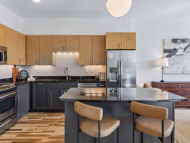 215 10th Avenue S Unit 707 Minneapolis MN 55415 - MLS# 7041896