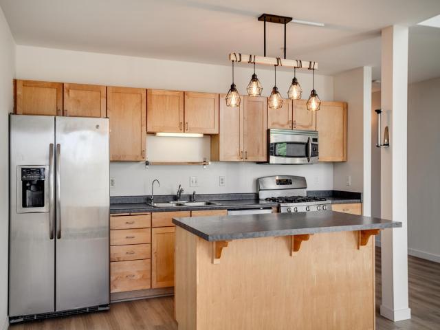 1829 3rd Avenue S Unit 203 Minneapolis MN 55404 - MLS# 7045507