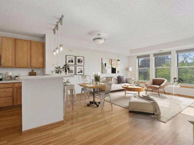 560 2nd Street N Unit 410 Minneapolis MN 55401 - MLS# 7048125