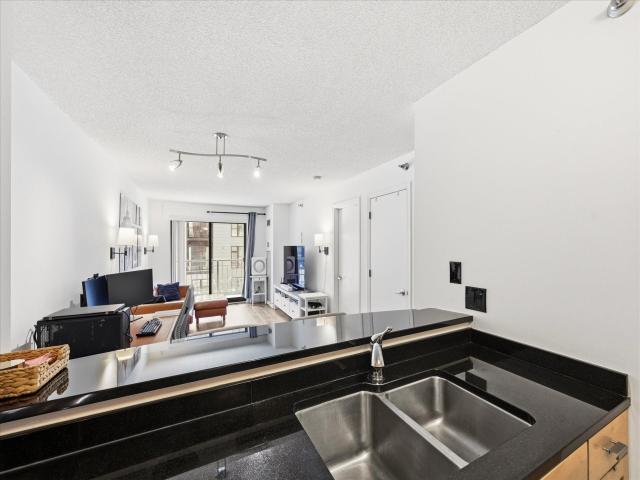 401 1st Street S Unit 203 Minneapolis MN 55401 - MLS# 7050336