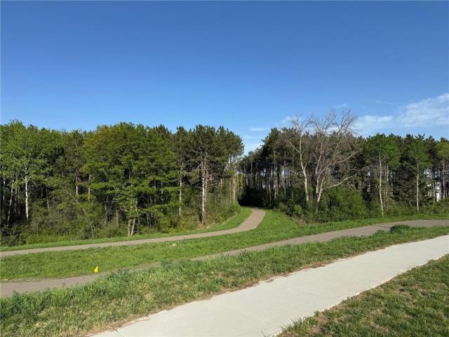 6154 Goodwin Avenue S Cottage Grove MN 55016 - MLS# 7052344