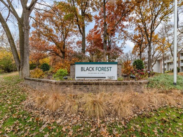 1601 N Innsbruck Drive NE Unit 123 Minneapolis MN 55432 - MLS# 7054070